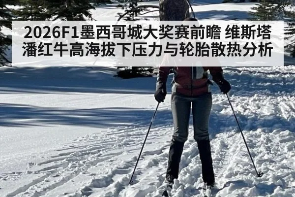 2026F1墨西哥城大奖赛前瞻 维斯塔潘红牛高海拔下压力与轮胎散热分析